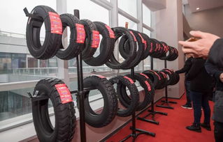 用心为您,智造未来 2019年中策橡胶集团 中国区 车胎部经销商大会隆重举行